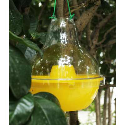 No Poison Chemical Free Hanging Dome Shaped Bug Insect Bee Fly Wasp Trap Catcher