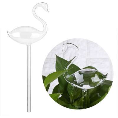 swan plant self watering globes stakes