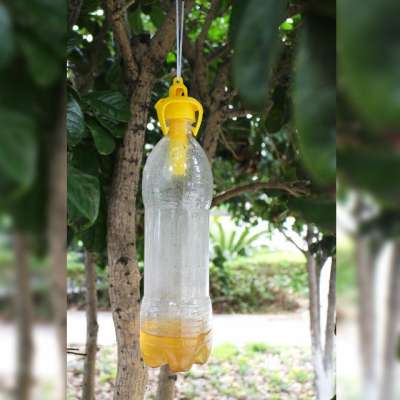 Bottle Top Garden Outdoor plastic hanging fruit fly mosquito insect wasp trap